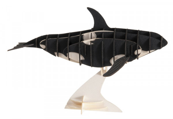 3D Modell Orca, Bausatz aus Spezialkarton, gelasert